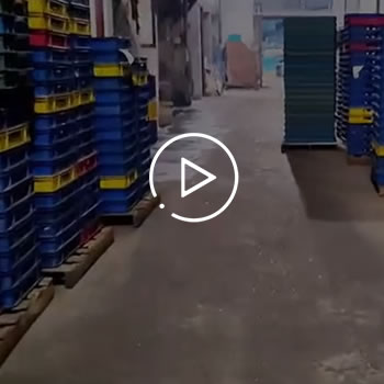 Workshop video